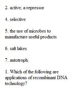 Practice Exam 2